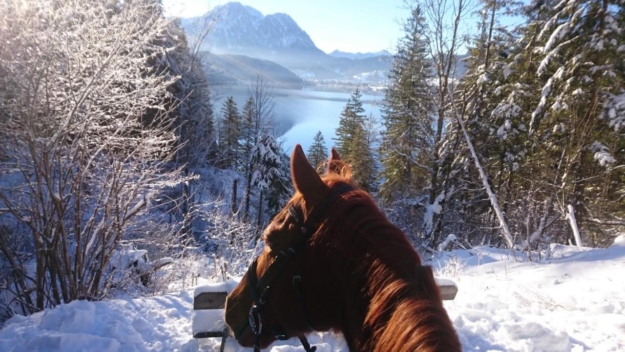 Haus Moser Altaussee Luaran gambar